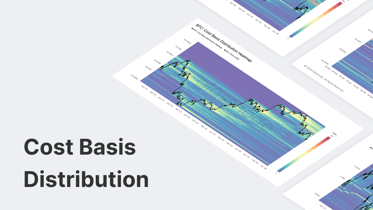 Cost Basis Distribution